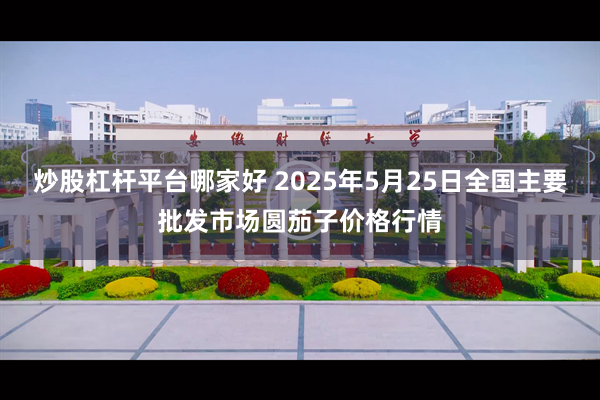 炒股杠杆平台哪家好 2025年5月25日全国主要批发市场圆茄子价格行情