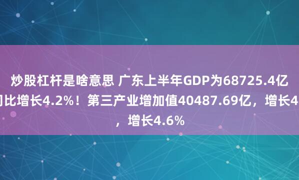 炒股杠杆是啥意思 广东上半年GDP为68725.4亿，同比增长4.2%！第三产业增加值40487.69亿，增长4.6%