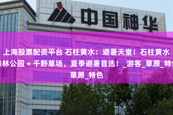 上海股票配资平台 石柱黄水：避暑天堂！石柱黄水森林公园 + 千野草场，夏季避暑首选！_游客_草原_特色