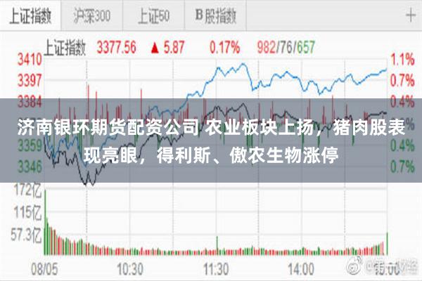 济南银环期货配资公司 农业板块上扬，猪肉股表现亮眼，得利斯、傲农生物涨停