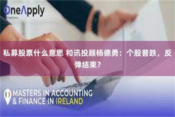 私募股票什么意思 和讯投顾杨德勇:个股普跌,反弹结束?